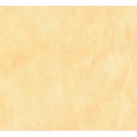 Leather Amarillo wall & floor tile Rectified 30x50 Leather Amarillo wall & floor tile Rectified 30x50